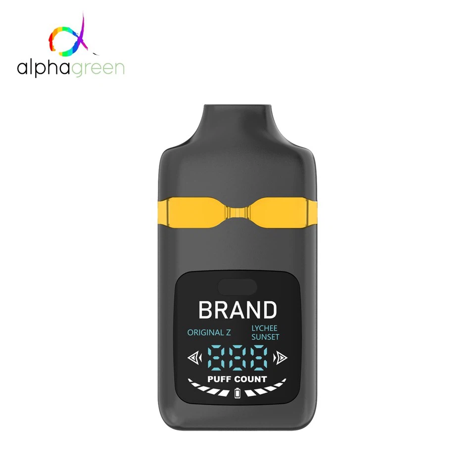 Dual Tank Disposable Vape With LCD Screen & USB-C | 400mAh E-Cigarette factory